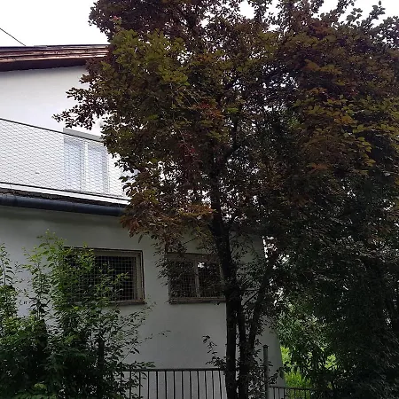 Panorama *