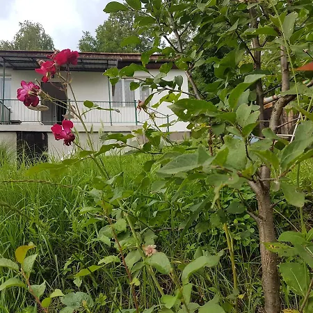 Lägenhet Panorama *